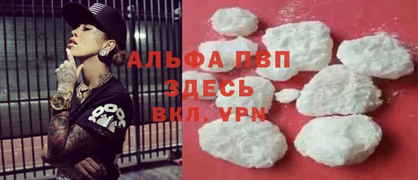 сатива Абаза