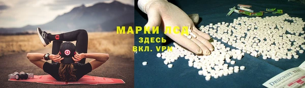 сатива Абаза
