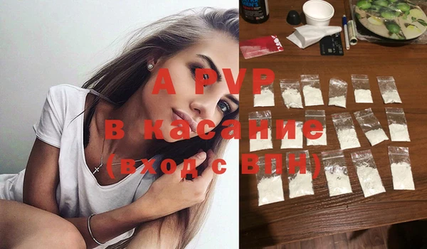 сатива Абаза