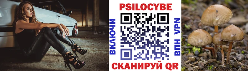 Псилоцибиновые грибы мицелий  Кадников 